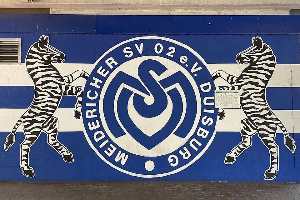 Alle MSV-News im Überblick.