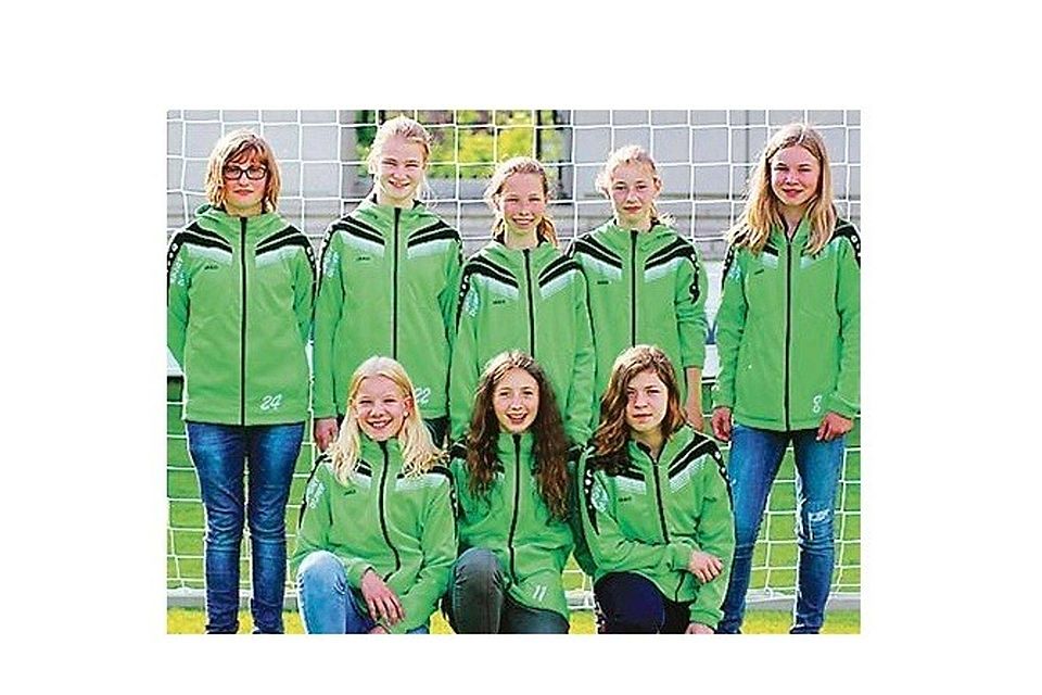 Gehören weiterhin zu den  erfolgreichsten Mädchenmannschaften Niedersachsens: die D-Juniorinnen des TuS Büppel privat