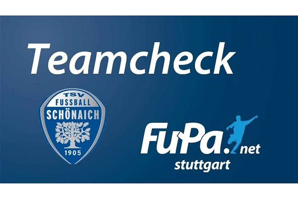 Der TSV Schönaich im FuPa-Teamcheck. Foto: FuPa Stuttgart