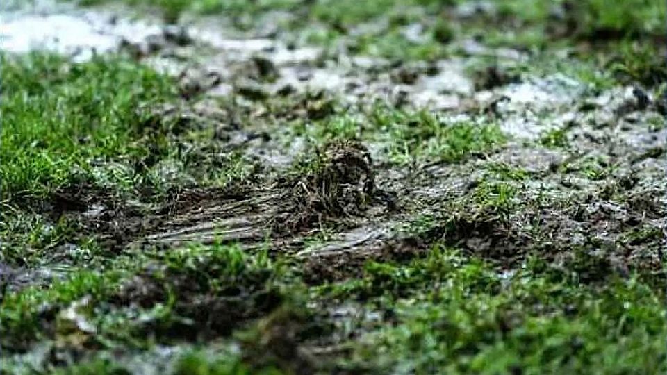 Foto: Volkhard Patten