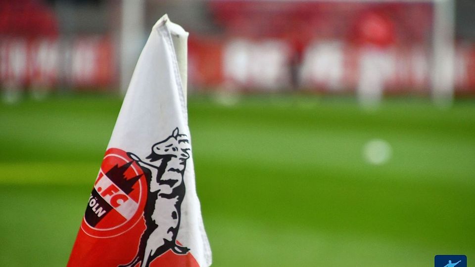 Der 1. FC Köln baut seine internationalen Beziehungen aus.