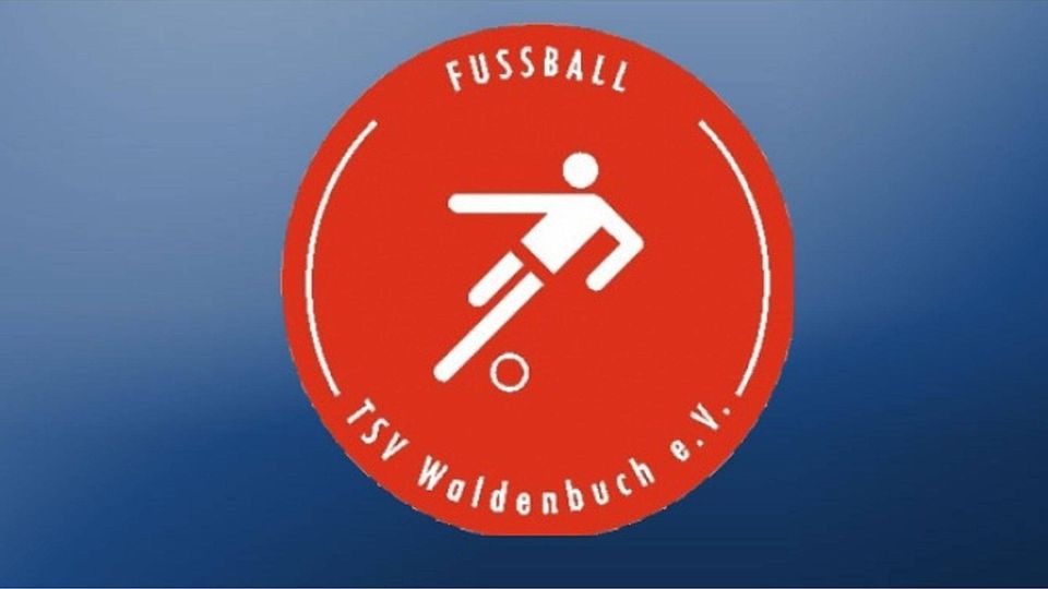 Der TSV Waldenbuch holt gegen Bondorf drei Punkte, verliert aber seinen Spielertrainer. Foto: Collage FuPa Stuttgart