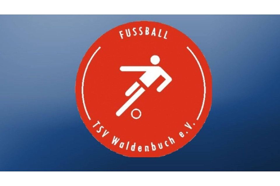 Der TSV Waldenbuch holt gegen Bondorf drei Punkte, verliert aber seinen Spielertrainer. Foto: Collage FuPa Stuttgart