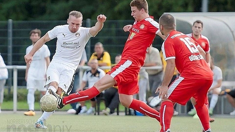 F: Norbert Schulz/noschpix.de