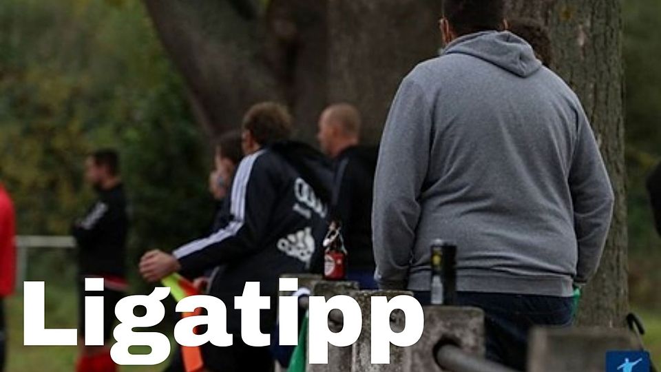 Wie haben sich die Trainer und Vereinsleute im FuPa-Ligatipp in der Hinrunde geschlagen?