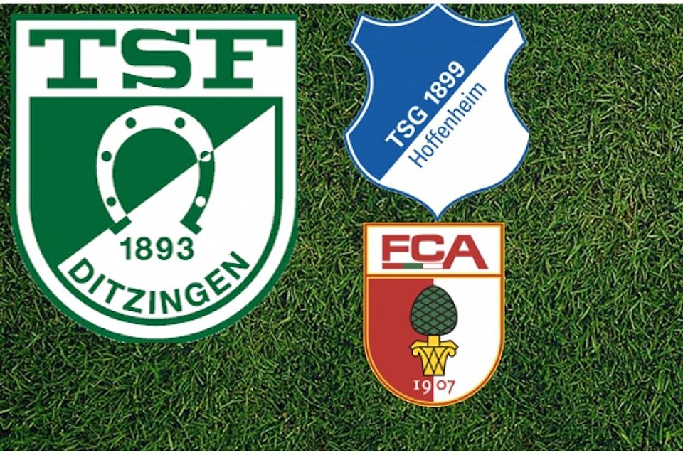 Die TSF Ditzingen laden zum Juniorcup, und Nachwuchs aus Hoffenheim und Augsburg kommt.