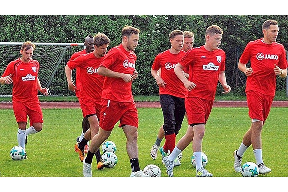 Bis auf Andreas Schuster sind alle Spieler aus der Bayernliga-Mannschaft des TSV Rain derzeit fit.  Foto: Gerd Jung