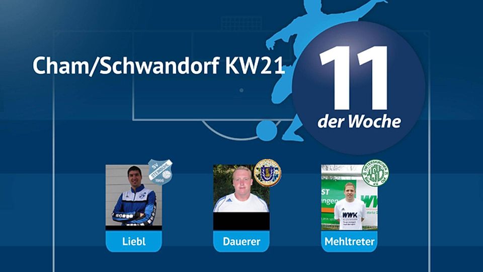 Elf der Woche Cham/Schwandorf KW21