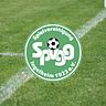 Die C-Junioren der Spvgg. Ingelheim feierte einen 5:0 Erfolg gegen den FC Meisenheim/JSG Nahe-Glan.