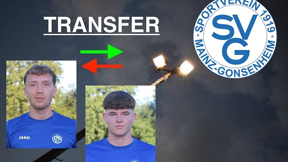 Zwei neue Gesicher am Wildpark.