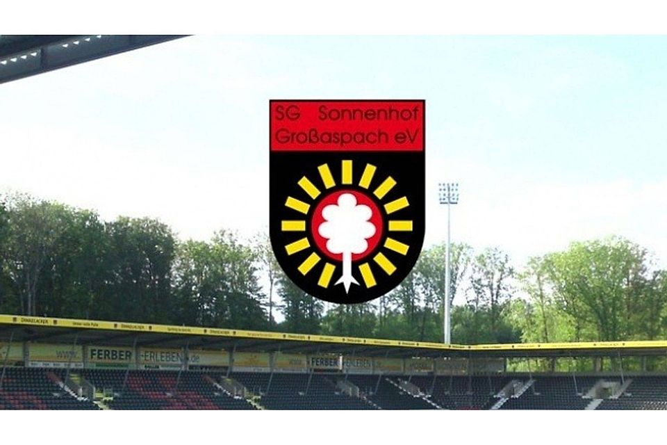 Die SG Sonnenhof Großaspach hat ihre Homepage neu gestaltet. F: FuPa Stuttgart