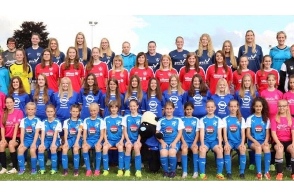 Die SG Reiskirchen/Saasen präsentiert die ganze Palette ihrer Frauen- und Mädchenteams. In der oberen Reihe das Gruppenligateam. 	Foto: Schön