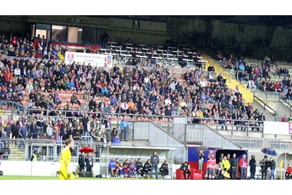 <b>F: Michael Schnieders</b>