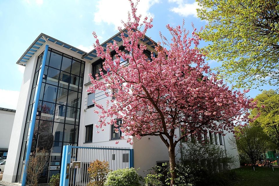 Matthias Thoma hat seinen Einstieg bei 1860 München dementiert. Es bleibt ein Geheimnis, wer die Nachfolge von Hasan Ismaik in Giesing antreten wird. Matthias Thoma hat seinen Einstieg bei 1860 München dementiert. Es bleibt ein Geheimnis, wer die Nachfolge von Hasan Ismaik in Giesing antreten wird.