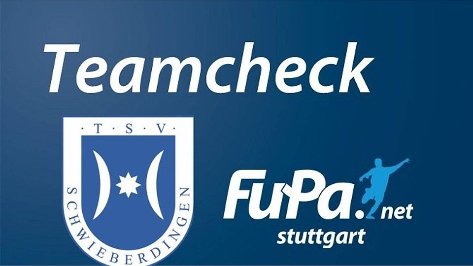 Heute im Teamcheck: der TSV Schwierberdingen. Foto: FuPa Stuttgart