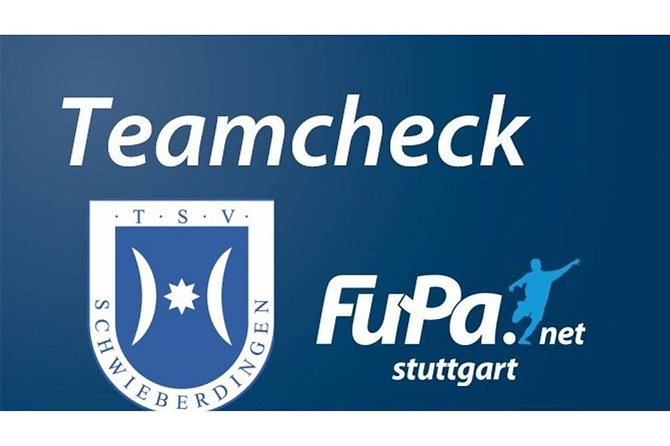 Heute im Teamcheck: der TSV Schwierberdingen. Foto: FuPa Stuttgart