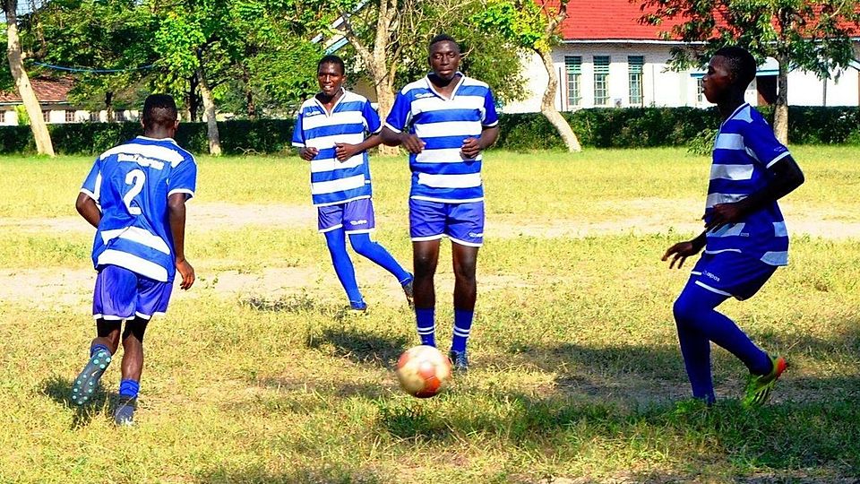 Die TanZebras stehen vor ihrem bislang größten Abenteuer.