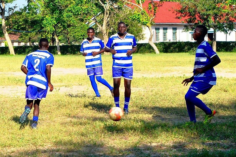 Die TanZebras stehen vor ihrem bislang größten Abenteuer.