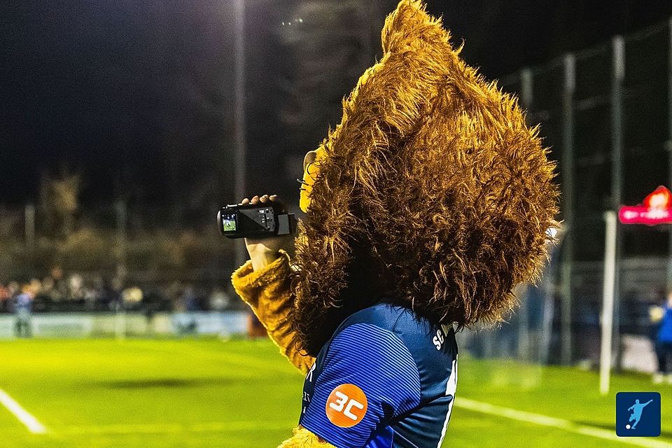 Der Rasen im Jahnstadion ist nicht bespielbar. Der Rasen im Jahnstadion ist nicht bespielbar.