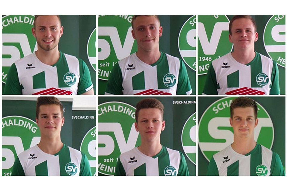 Die sechs U19-Akteure, die künftig den Kader der U23 des SVS erweitern F: SVS
