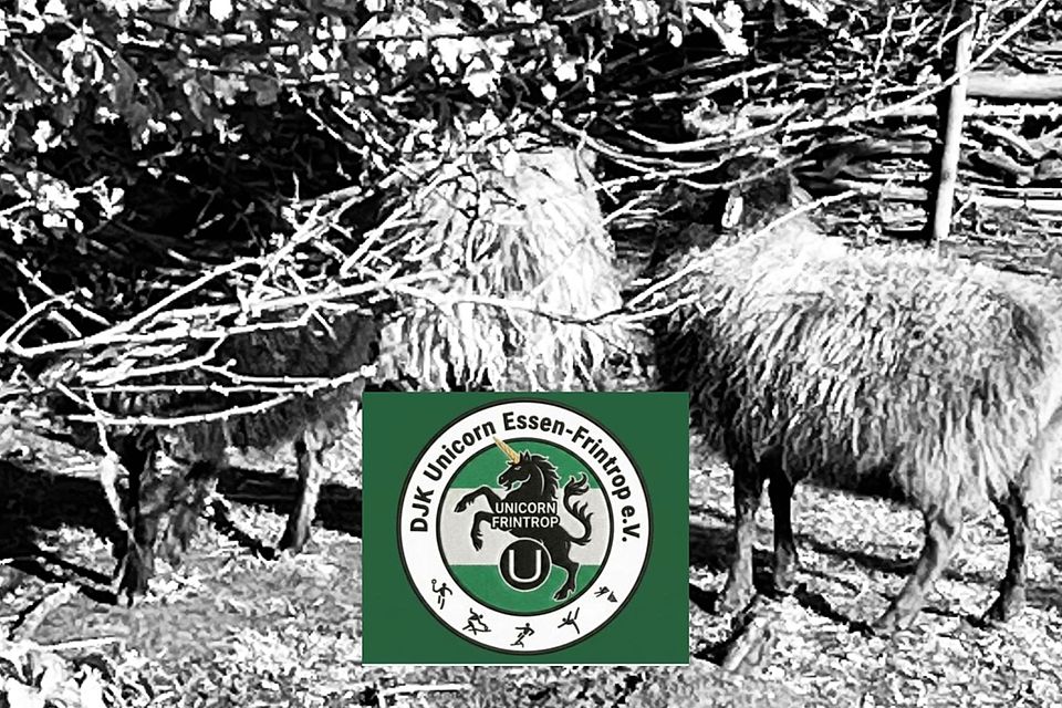 Historische Einhorn-Aufnahmen und das neue Vereinslogo.