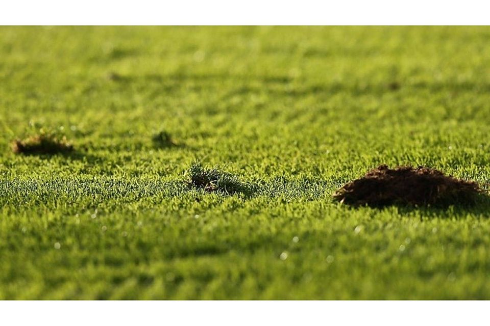 Grüner Rasen statt grüner Tisch: Das Spiel zwischen Schwabach und Dergahspor wird doch noch ausgetragen. F: Zink