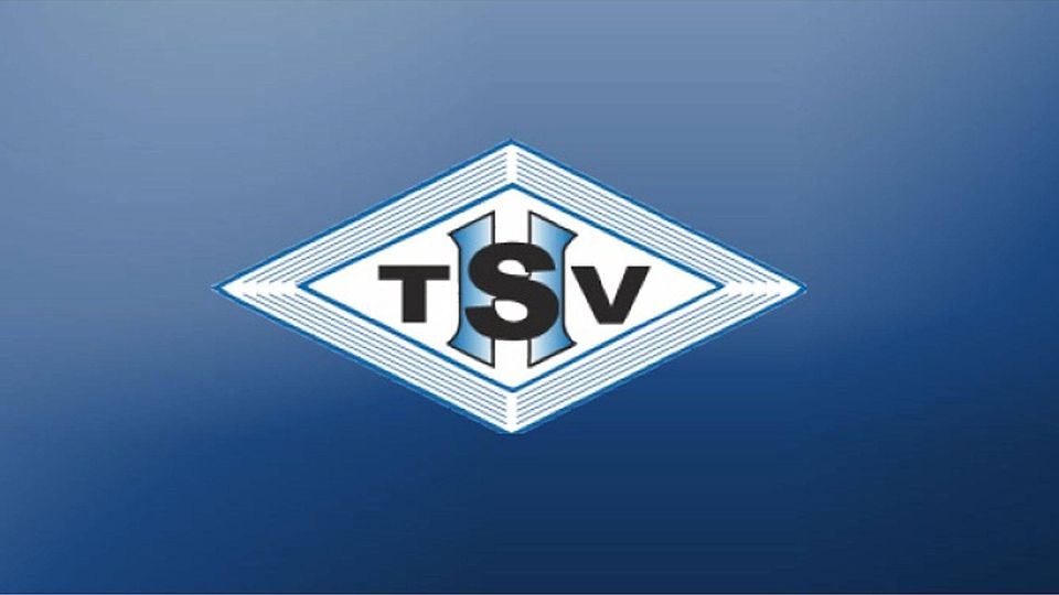 Der TSV Heumaden steckt mitten im Abstiegskampf. Foto: Collage FuPa Stuttgart
