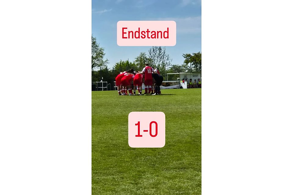 Die Mannschaft des SC Böckingen im Kreis