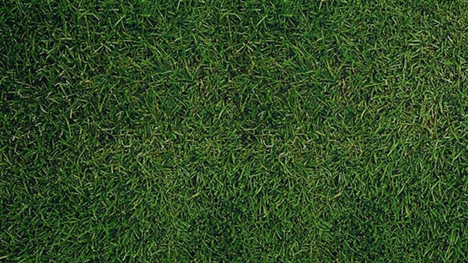 Mit Aykut Can (links) und Harun Sever hat die Sportvg zwei absolute Hochkaräter an Land gezogen.