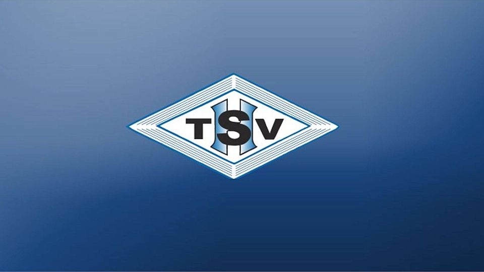 Der TSV Heumaden möchte sich in der nächsten Saison sportlich konsolidieren. Foto: Collage FuPa Stuttgart