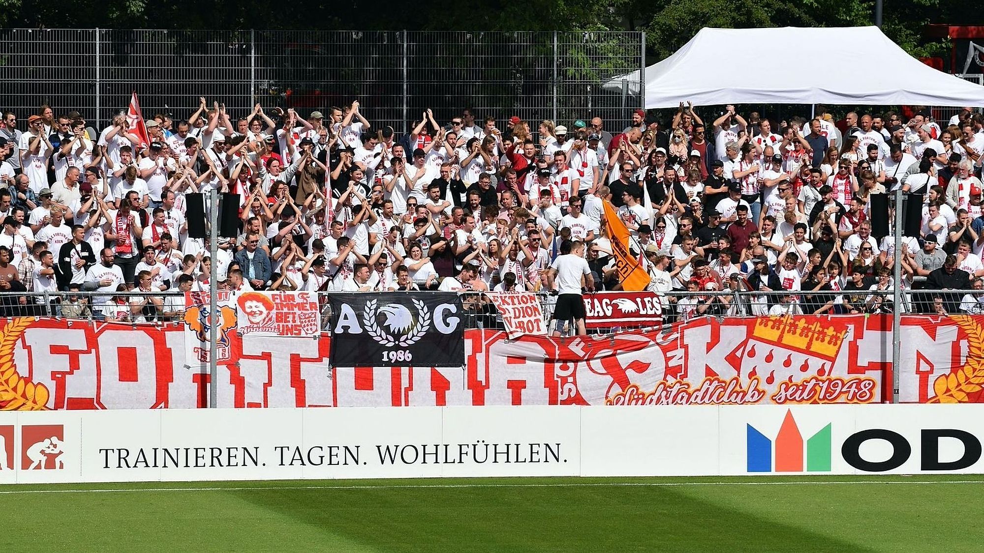 ULTRAS-TIFO.net - Dynamo Dresden vs Munchen 1860 right now