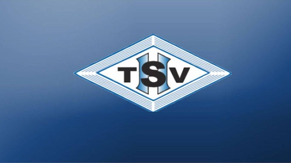 Der TSV Heumaden hat einen neuen TRainer. Foto: FuPa-Collage