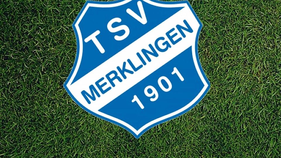 Der TSV Merklingen hat in dieser Saison sportlich noch Luft nach oben - das sieht auch Spielführer Maximilian Schneider.  Foto: FuPa Collage