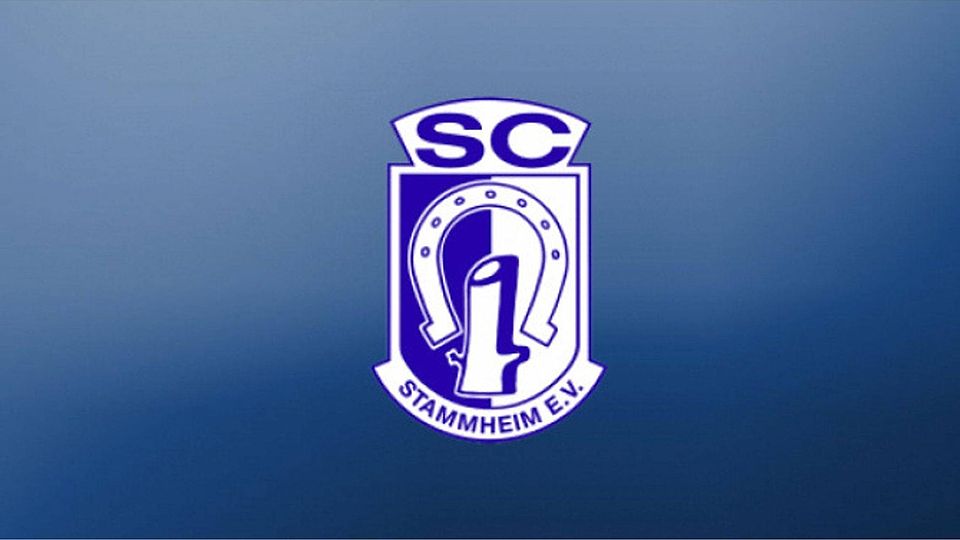 Die zweite Mannschaft des SC Stammheim hat den Aufstieg in die Kreisliga A geschafft. Foto: FuPa Stuttgart