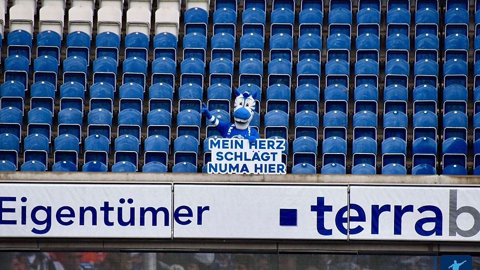 Der MSV Duisburg arbeitet am Kader für die kommende Saison.