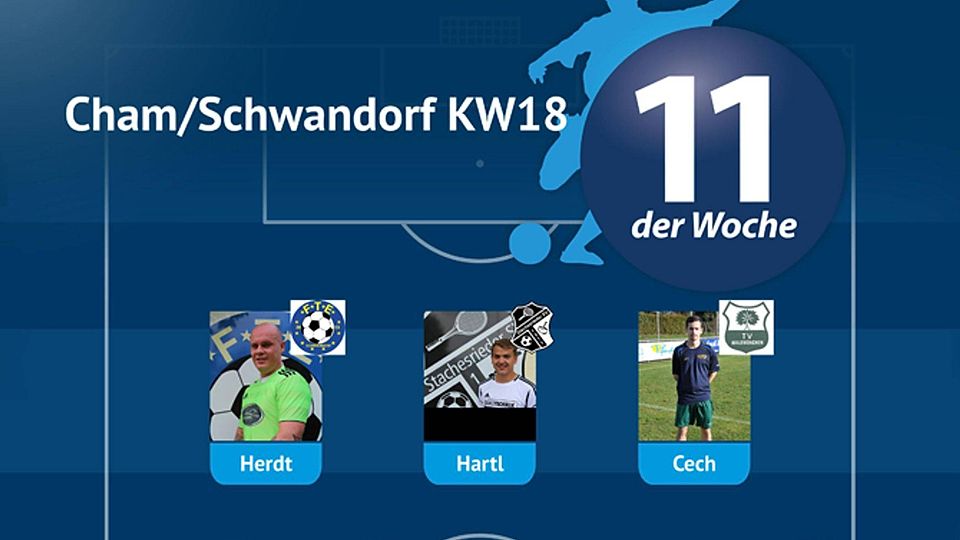 Elf der Woche Cham/Schwandorf KW18