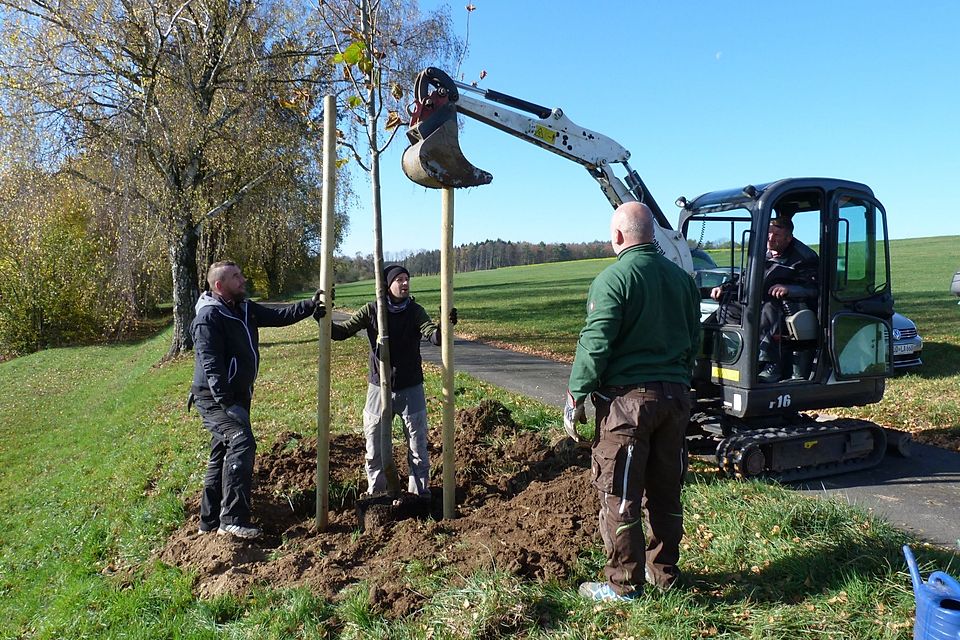 Der Jubiläumsbaum - die SGB Linde wird von Mitgliedern der neu gegründeten Alte-Herren-Mannschaft gepflanzt.