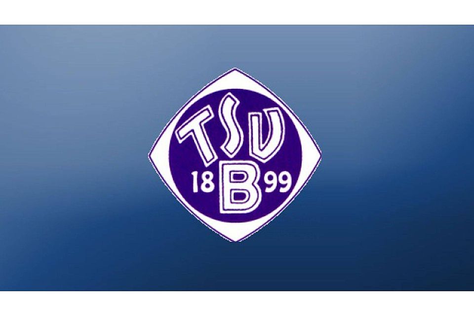 Der TSV Bernhausen belegt den dritten Platz beim Vereinsehrenamtspreis  des WFV. Foto: Collage FuPa Stuttgart