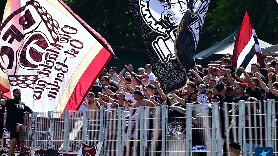 BFC Dynamo Fans