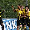 Kann Dortmund auch gegen Hoffenheim gewinnen?