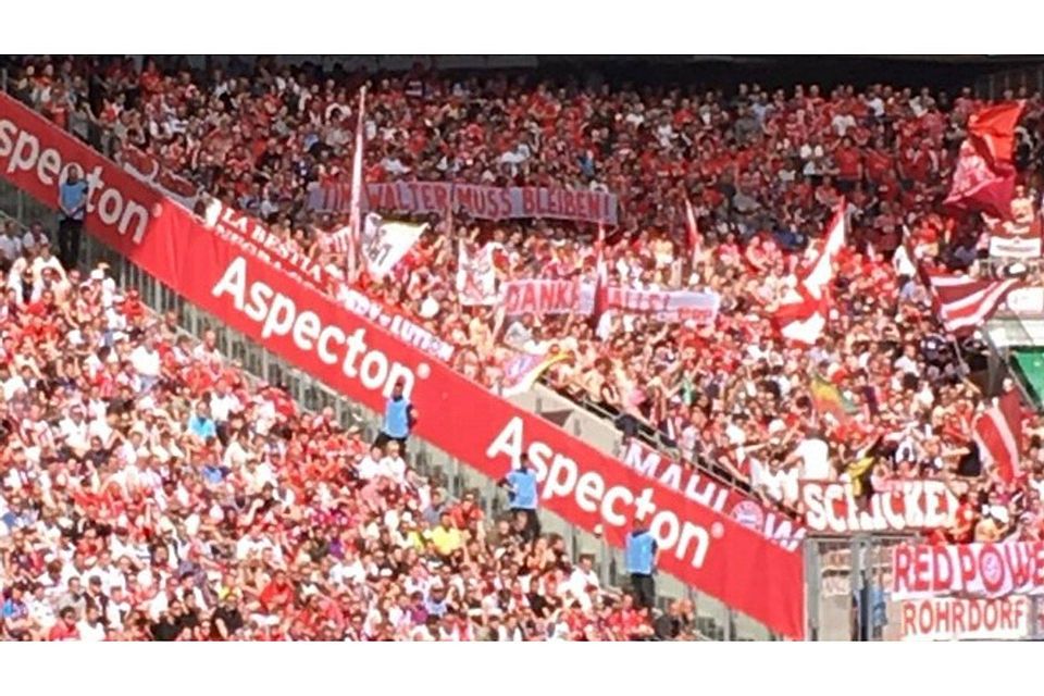 Die mitgereisten Fans des FC Bayern machen in Köln Werbung für eine Vertragsverlängerung von Tim Walter.  Foto: Jonas Austermann