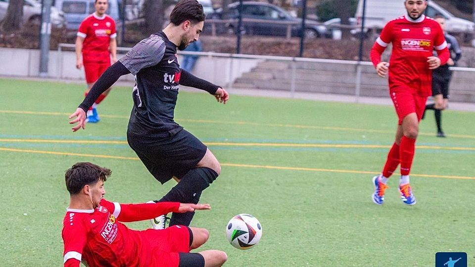 Archiv: Hürtürkel (rot) am Boden 