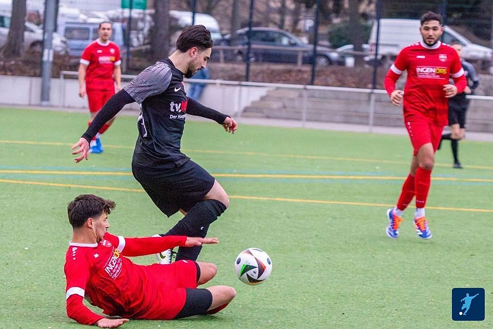 Archiv: Hürtürkel (rot) am Boden 