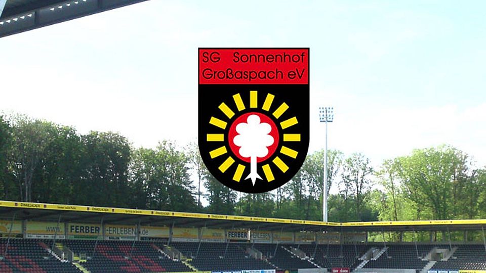 Die SG Sonnenhof Großaspach sucht einen neuen Cheftrainer. F: Turian