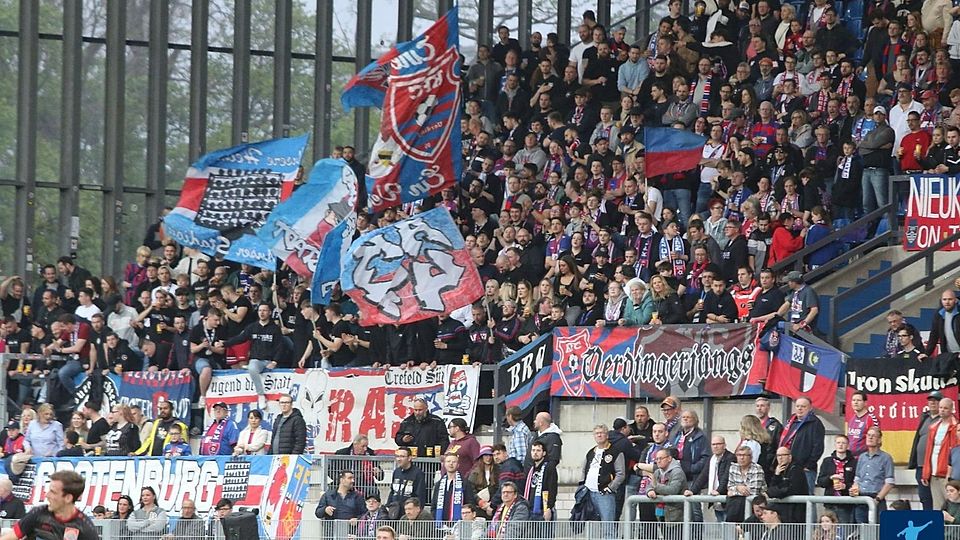 Wer wird neuer KFC-Trainer?