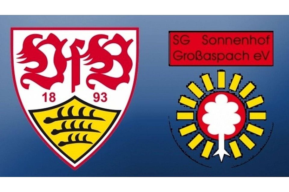Der VfB Stuttgart und die SG Sonnenhof Großaspach kooperieren vielleicht.