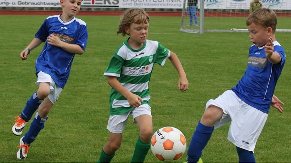 Beim Schittenhelm Bau-Juniortiger-Cup geht es im Herrenberger Volksbankstadion an zwei Tagen rund Foto (Archiv): Bäuerle