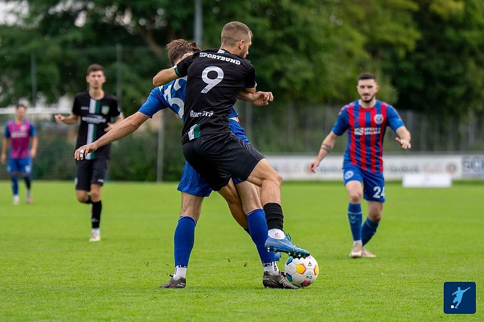 Sanel Sehric und der SB Rosenheim empfangen den TSV Dorfen. 