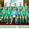 Die Bezirksliga Mannschaft der SpVgg Hebertshausen. 