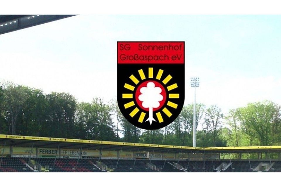 Die SG Sonnenhof Großaspach testet gegen die TSG Hoffenheim II. F: FuPa Stuttgart